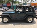 Jeep Wrangler MT 1995 - Cần bán lại xe Jeep Wrangler đời 1995, màu xanh lam, nhập khẩu số sàn