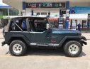 Jeep Wrangler MT 1995 - Cần bán lại xe Jeep Wrangler đời 1995, màu xanh lam, nhập khẩu số sàn