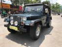 Jeep Wrangler MT 1995 - Cần bán lại xe Jeep Wrangler đời 1995, màu xanh lam, nhập khẩu số sàn