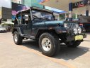 Jeep Wrangler MT 1995 - Cần bán lại xe Jeep Wrangler đời 1995, màu xanh lam, nhập khẩu số sàn