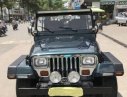 Jeep Wrangler 1995 - Bán xe Jeep Wrangler đời 1995, xe nhập số sàn giá cạnh tranh