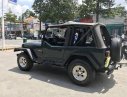 Jeep Wrangler 1995 - Bán xe Jeep Wrangler đời 1995, xe nhập số sàn giá cạnh tranh