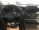 Mercedes-Benz GLK Class GLC250 2017 - Bán xe Mercedes GLC250 2017, nhập khẩu