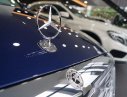 Mercedes-Benz C class C250 2017 - Bán Mercedes C250 đời 2017, nhập khẩu nguyên chiếc