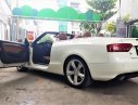 Audi A5 2009 - Bán ô tô Audi A5 đời 2009, màu trắng, xe nhập số tự động