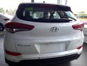 Hyundai Santa Fe 2017 - Bán ô tô Hyundai Santa Fe đời 2017, màu trắng, nhập khẩu chính hãng