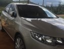 Kia Forte 2013 - Bán Kia Forte đời 2013, màu bạc xe gia đình, 395 triệu