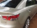 Kia Forte 2013 - Bán Kia Forte đời 2013, màu bạc xe gia đình, 395 triệu