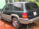 Jeep Grand Cheroke 1994 - Bán gấp Jeep Grand Cheroke đời 1994, màu xanh lam, xe nhập