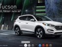 Hyundai Tucson 2017 - Bán Hyundai Tucson đời 2017, màu đỏ, xe nhập, giá 815tr