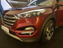 Hyundai Tucson 2.0 AT 2017 - Bán ô tô Hyundai Tucson OP đời 2017, màu đỏ