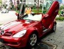 Mercedes-Benz SLK class 2007 - Bán Mercedes SLK 280 đời 2007, màu đỏ, nhập khẩu nguyên chiếc 