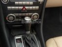 Mercedes-Benz SLK class 2007 - Bán Mercedes SLK 280 đời 2007, màu đỏ, nhập khẩu nguyên chiếc 