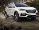 Hyundai Santa Fe 2017 - Bán xe Hyundai Santa Fe đời 2017, màu nâu, nhập khẩu 