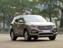 Hyundai Santa Fe 2017 - Bán xe Hyundai Santa Fe đời 2017, màu nâu, nhập khẩu 