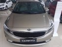 Kia Cerato 2017 - Bán ô tô Kia Cerato đời 2017, nhập khẩu giá cạnh tranh