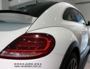 Volkswagen Beetle Dune 2017 - Xe con bọ Volkswagen Beetle Dune - Đại lý VW Saigon 0933689294