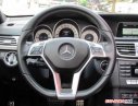 Mercedes-Benz E250 2015 - Cần bán xe Mercedes E250 đời 2015, màu đen, số tự động