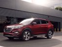 Hyundai Tucson 2017 - Cần bán Hyundai Tucson đời 2017, màu đỏ, giá chỉ 790 triệu đến ngay Hyundai Bắc Ninh để nhận ưu đãi tốt nhất