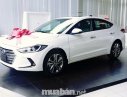 Hyundai Elantra 2017 - Bán ô tô Hyundai Elantra đời 2017, màu trắng, xe nhập  