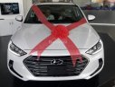 Hyundai Elantra 2017 - Bán ô tô Hyundai Elantra đời 2017, màu trắng, xe nhập  