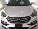 Hyundai Santa Fe  CKD 2017 - Bán Hyundai Santa Fe CKD đời 2017, màu trắng