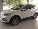 Hyundai Santa Fe  CKD 2017 - Bán Hyundai Santa Fe CKD đời 2017, màu trắng