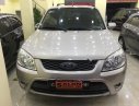 Ford Escape 2011 - Cần bán xe Ford Escape đời 2011 số tự động, 455 triệu