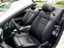 Ford Mustang 2.3L Ecoboost 2016 - Bán Ford Mustang 2.3L Ecoboost 2016, màu trắng, nhập khẩu