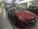 BMW 6 Series 2017 - Bán ô tô BMW 6 Series 2017, màu đỏ, nhập khẩu