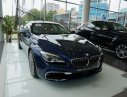 BMW 6 Series AT 2017 - Cần bán BMW 6 Series AT đời 2017, nhập khẩu nguyên chiếc