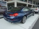 BMW 6 Series AT 2017 - Cần bán BMW 6 Series AT đời 2017, nhập khẩu nguyên chiếc