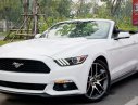 Ford Mustang Ecoboost - 2.3L 2016 - Bán ô tô Ford Mustang Ecoboost - 2.3L đời 2016, màu trắng, nhập khẩu