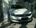 Volkswagen Passat E 2015 - Passat E màu trắng, nâu, đen - Nhập khẩu từ Đức - Giá tốt nhất. LH Quang Long 0933689294