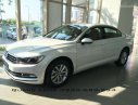 Volkswagen Passat E 2015 - Passat E màu trắng, nâu, đen - Nhập khẩu từ Đức - Giá tốt nhất. LH Quang Long 0933689294