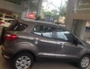 Ford EcoSport Titanium 2018 - Bán Ecosport Titanium 2018 màu nâu, giá tốt thị trường, hotline 0942552831