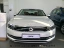 Volkswagen Passat E 2015 - Passat E màu trắng, nâu, đen - Nhập khẩu từ Đức - Giá tốt nhất. LH Quang Long 0933689294