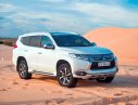 Mitsubishi Pajero 2017 - Cần bán Mitsubishi Pajero 2017, màu trắng, nhập khẩu