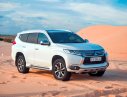 Mitsubishi Pajero 2017 - Cần bán Mitsubishi Pajero 2017, màu trắng, nhập khẩu