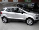 Ford EcoSport   2017 - Bán xe Ford EcoSport năm 2017, màu bạc