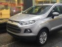 Ford EcoSport   2017 - Bán xe Ford EcoSport năm 2017, màu bạc