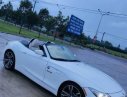 BMW Z4   V6 3.0L Sdrive 35i 2010 - Xe BMW Z4 V6 3.0L Sdrive 35i năm 2010, màu trắng