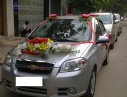 Chevrolet Aveo 2013 - Bán Chevrolet Aveo đời 2013, màu bạc, 260tr