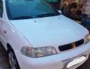 Fiat Albea 2004 - Bán Fiat Albea 2004, màu trắng