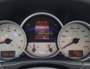 Porsche Carrera 2008 - Bán xe Porsche Carrera GT đời 2008