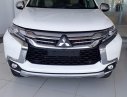 Mitsubishi Pajero 2017 - Bán xe Mitsubishi Pajero đời 2017, màu trắng, xe nhập