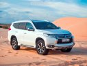 Mitsubishi Pajero 2017 - Bán Mitsubishi Pajero đời 2017, màu trắng, nhập khẩu nguyên chiếc