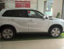Suzuki Vitara 2016 - Suzuki Tây Hồ, bán Suzuki Vitara 2016, nhập khẩu nguyên chiếc. Hỗ trợ mua xe trả góp, đăng ký đăng kiểm lưu hành xe