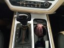 Kia VT250 DATH 2016 - Cần bán Kia Sedona đời mới, màu nâu giá cực tốt- LH Ms. Linh- 0938 907 953 để được phục vụ tốt nhất