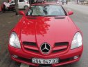 Mercedes-Benz SLK class SLK200 2010 - Bán Mercedes SLK200 đời 2010, màu đỏ, xe nhập, giá chỉ 980 triệu